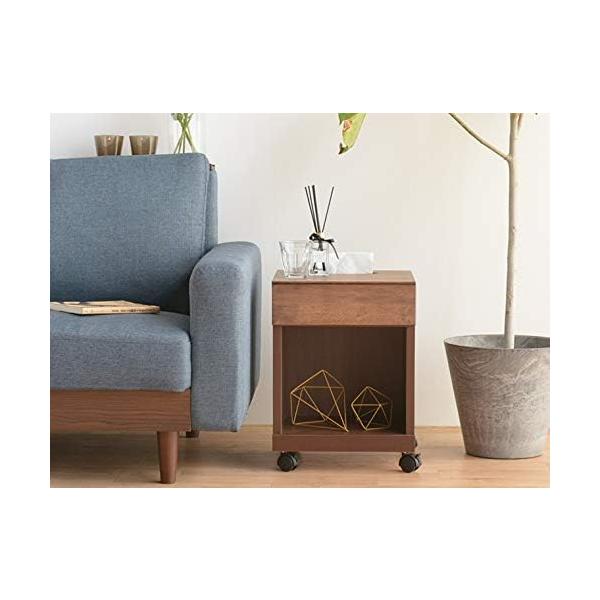 spクダラン様　ブセファランドラ ヘレナ２０１３、メタリック トリコロール ブセファランドラ メタリック・トリコロール spクダラン様